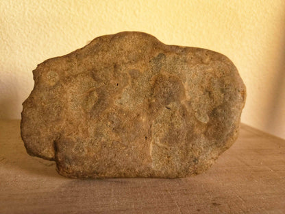 Viking Petroglyphs